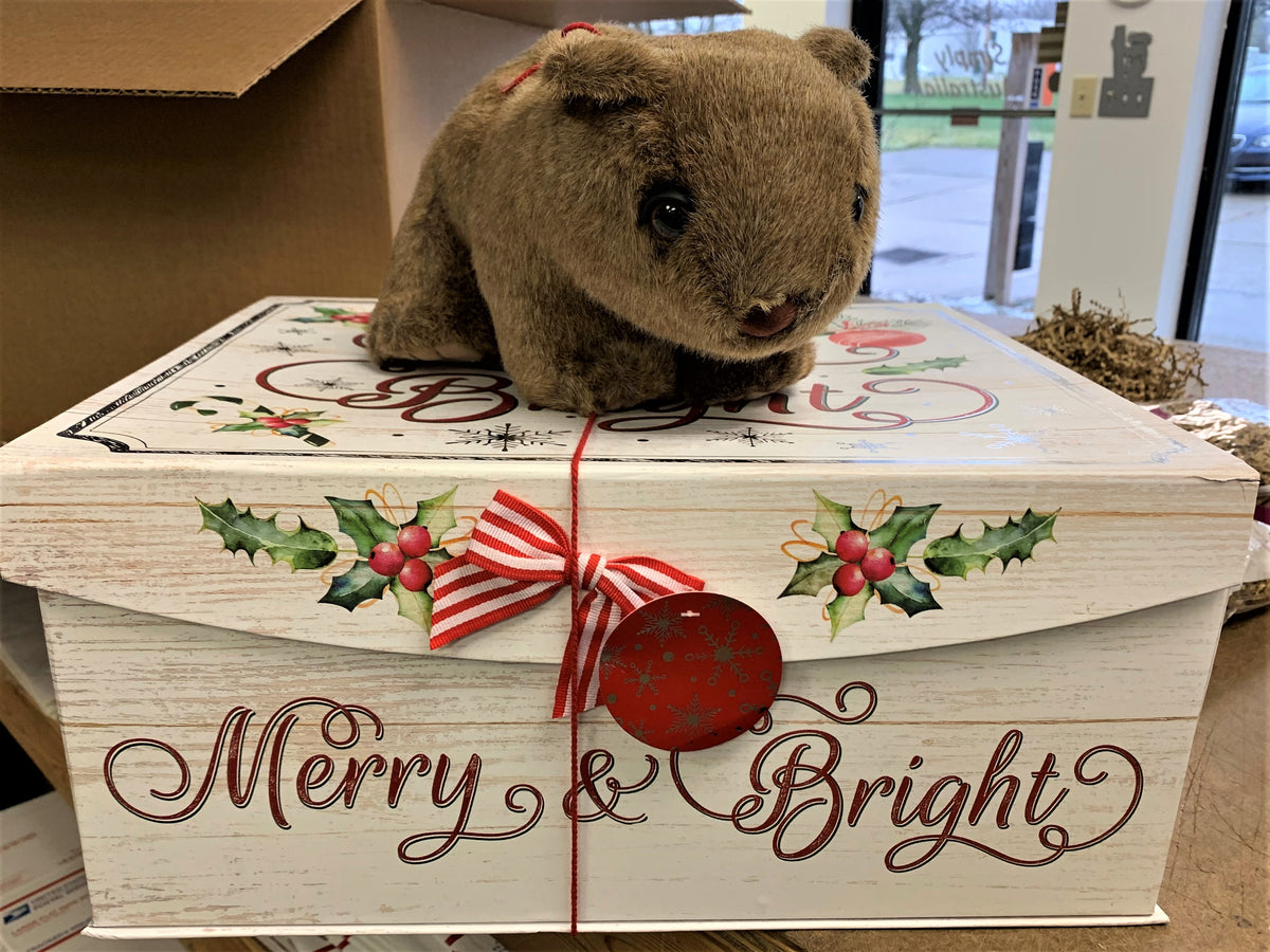 Australian Gift Basket Australian Food Hamper USA Aussie Food Express